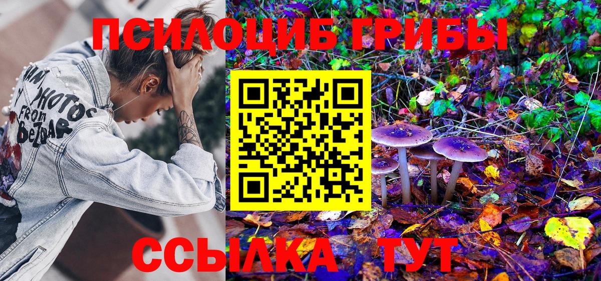 Галлюциногенные грибы Cubensis  Вход с VPN  Канск 