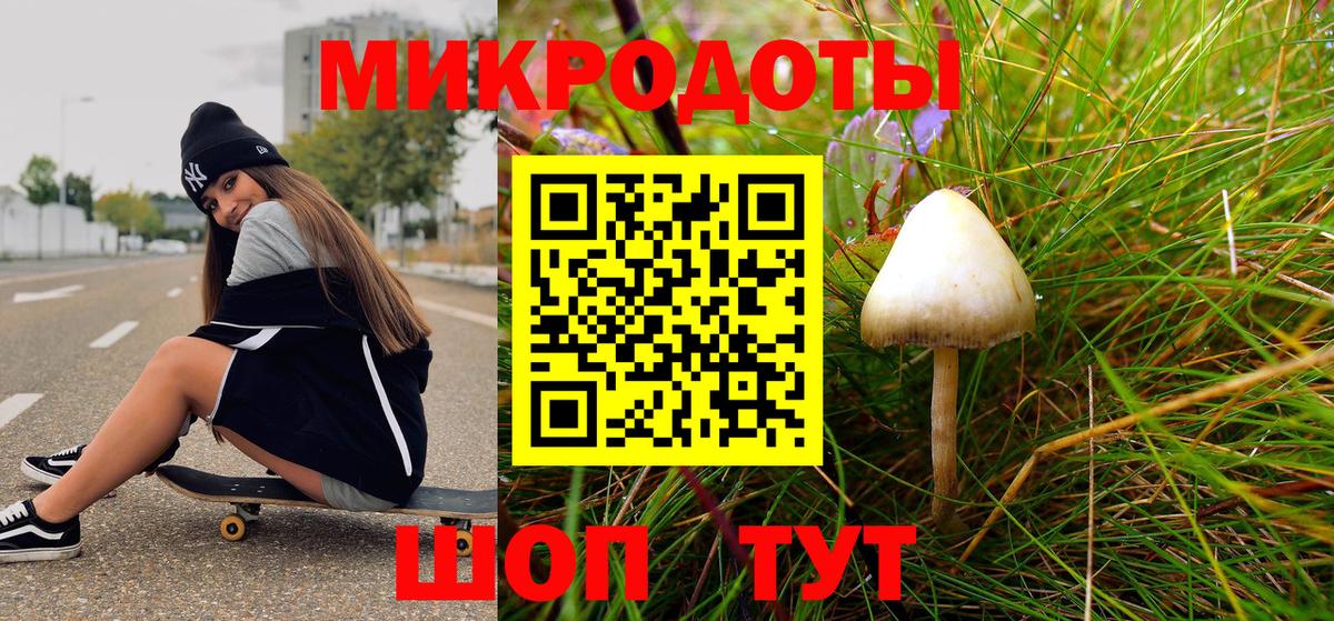 Псилоцибиновые грибы Magic Shrooms Канск